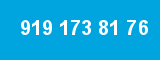 919 173 81 76